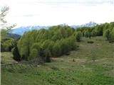 Cimadors Alto nad planino se odkrivajo od desne Lopič, Javor Muzci, Zajavor